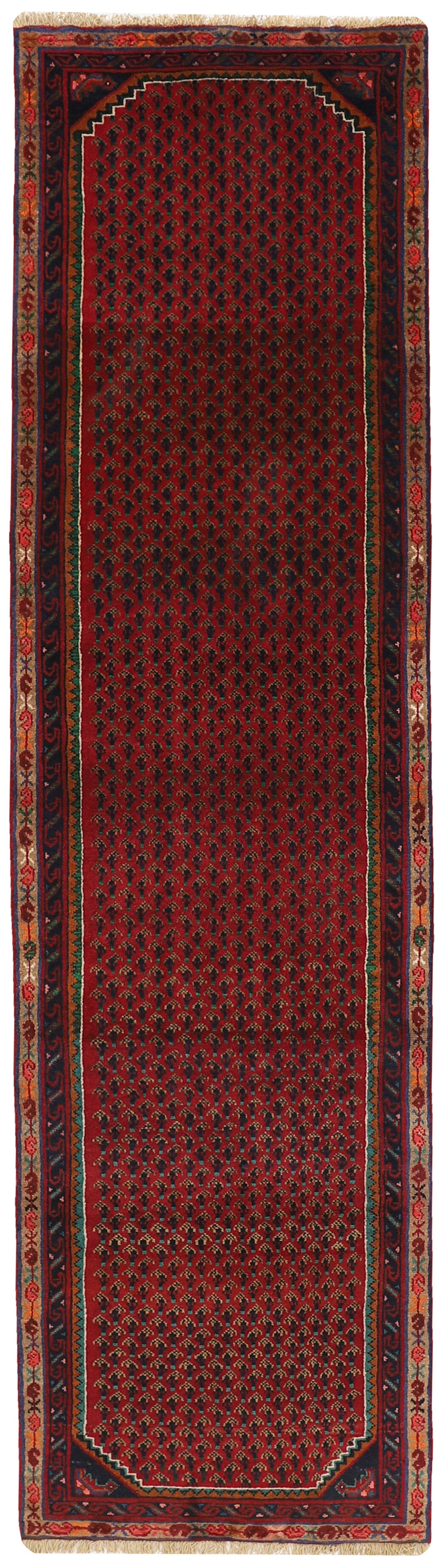 Asadabad Runner 1516217