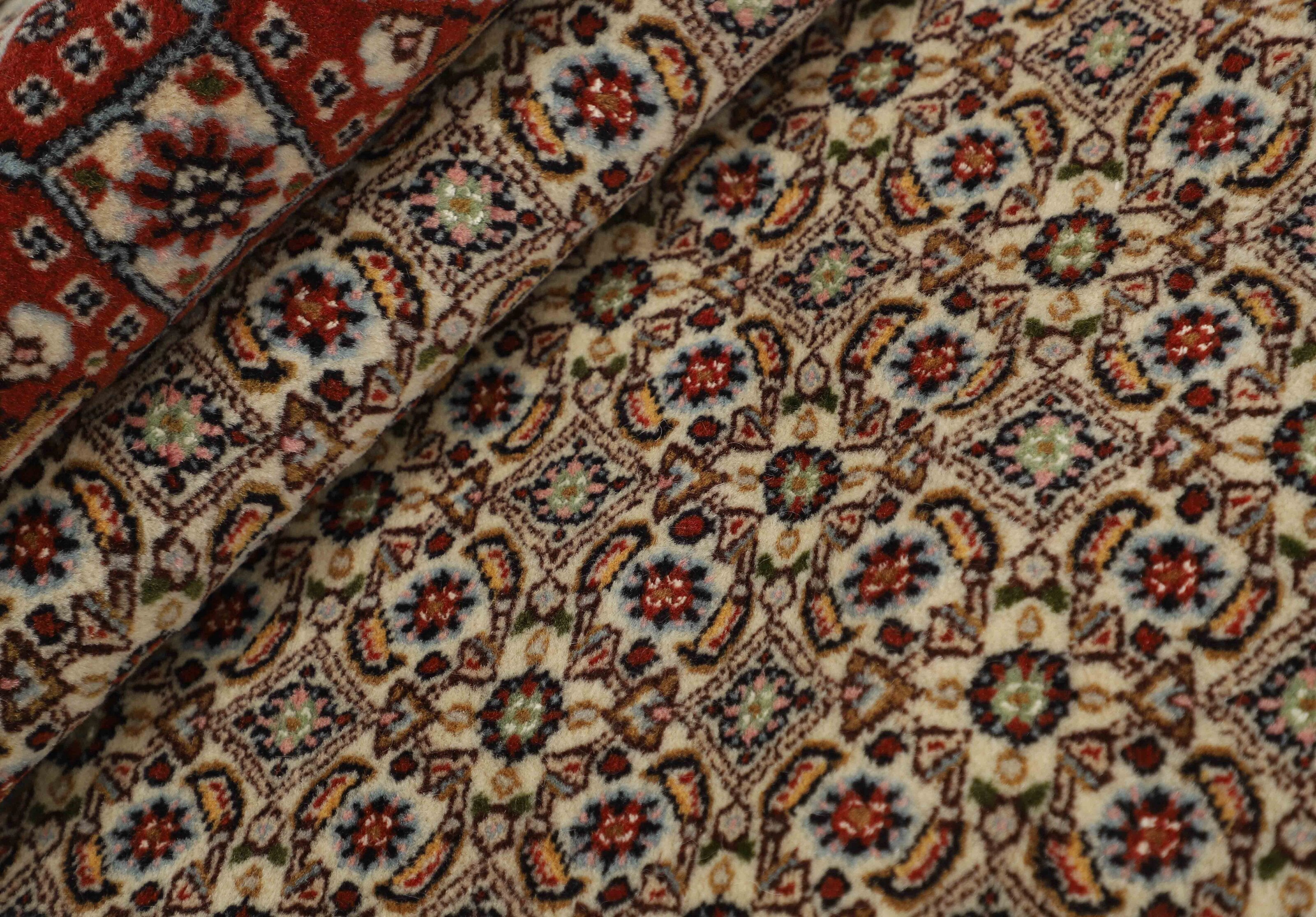 Moud Mahi 1519671