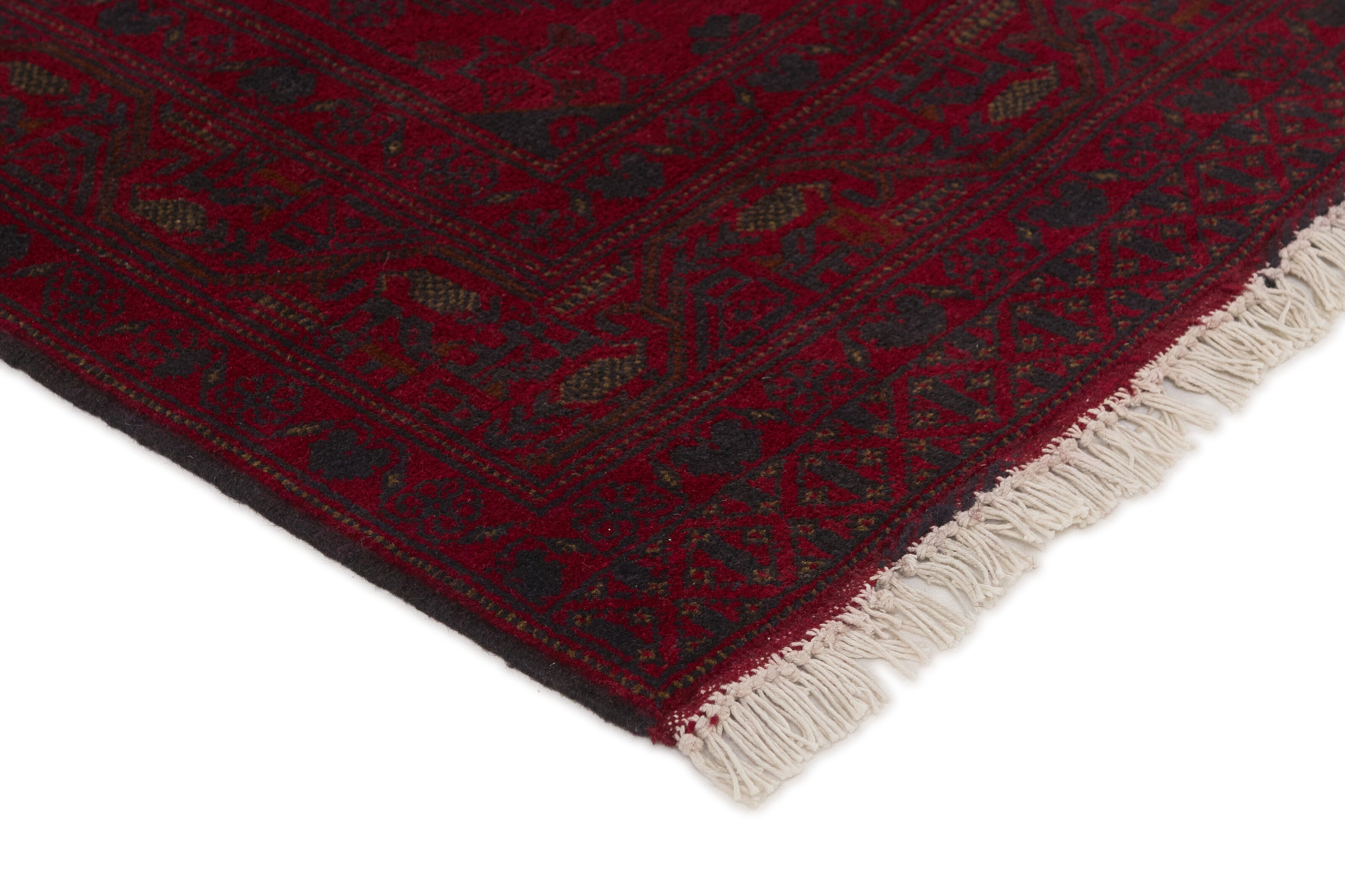 Old Afghan 1521042