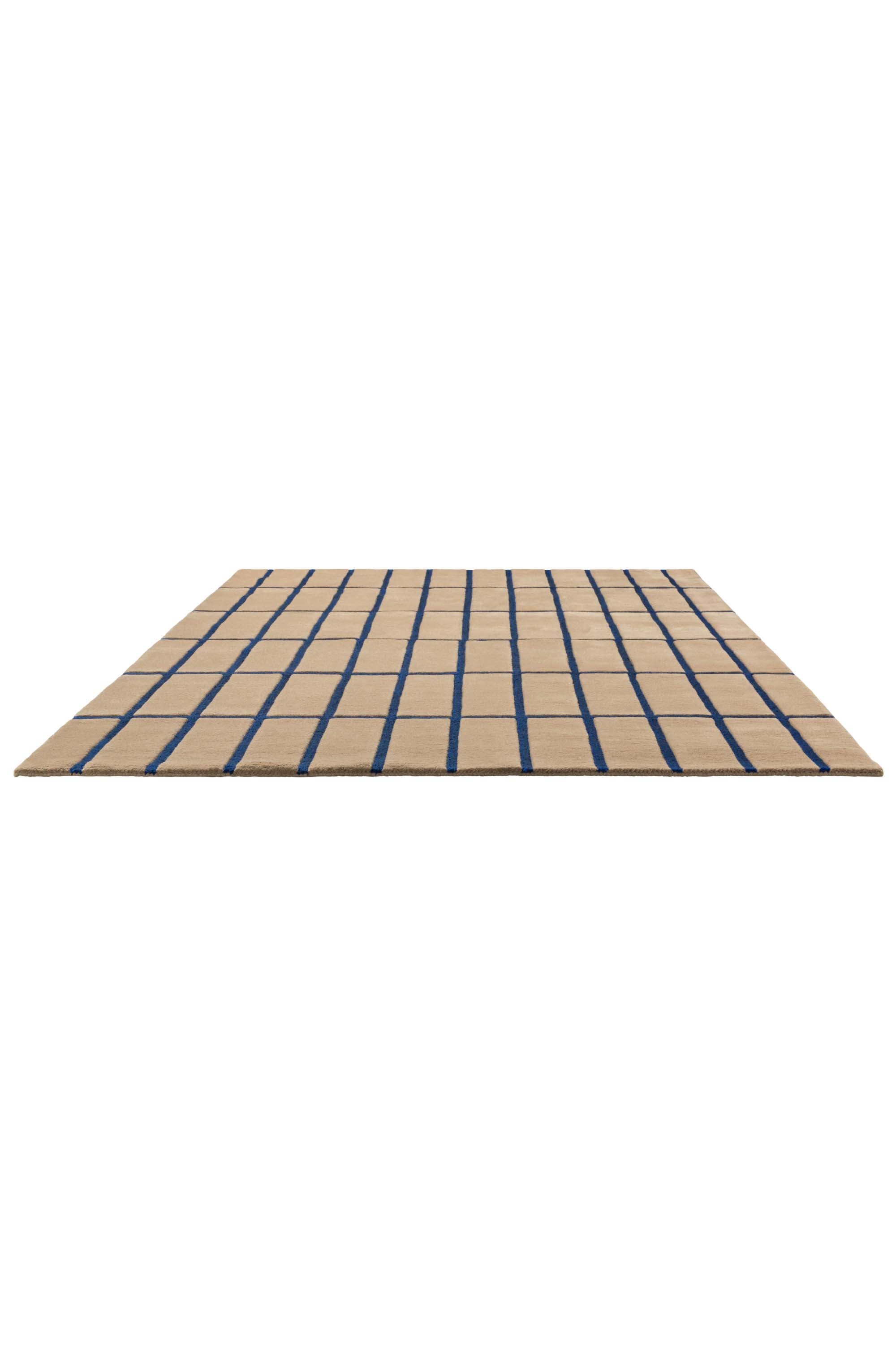 Geometric rug with blue grid pattern