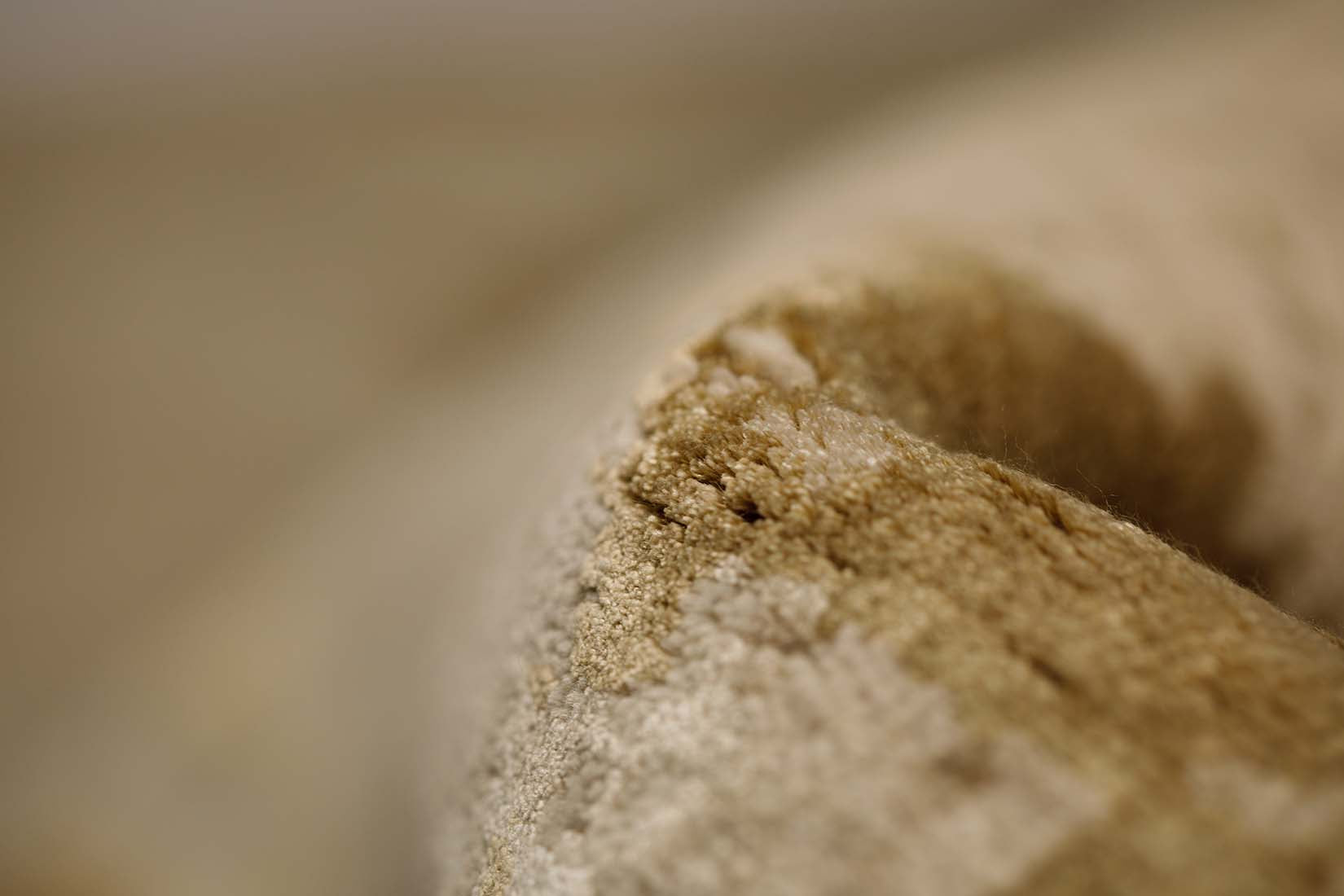 Salacia Ivory Sand