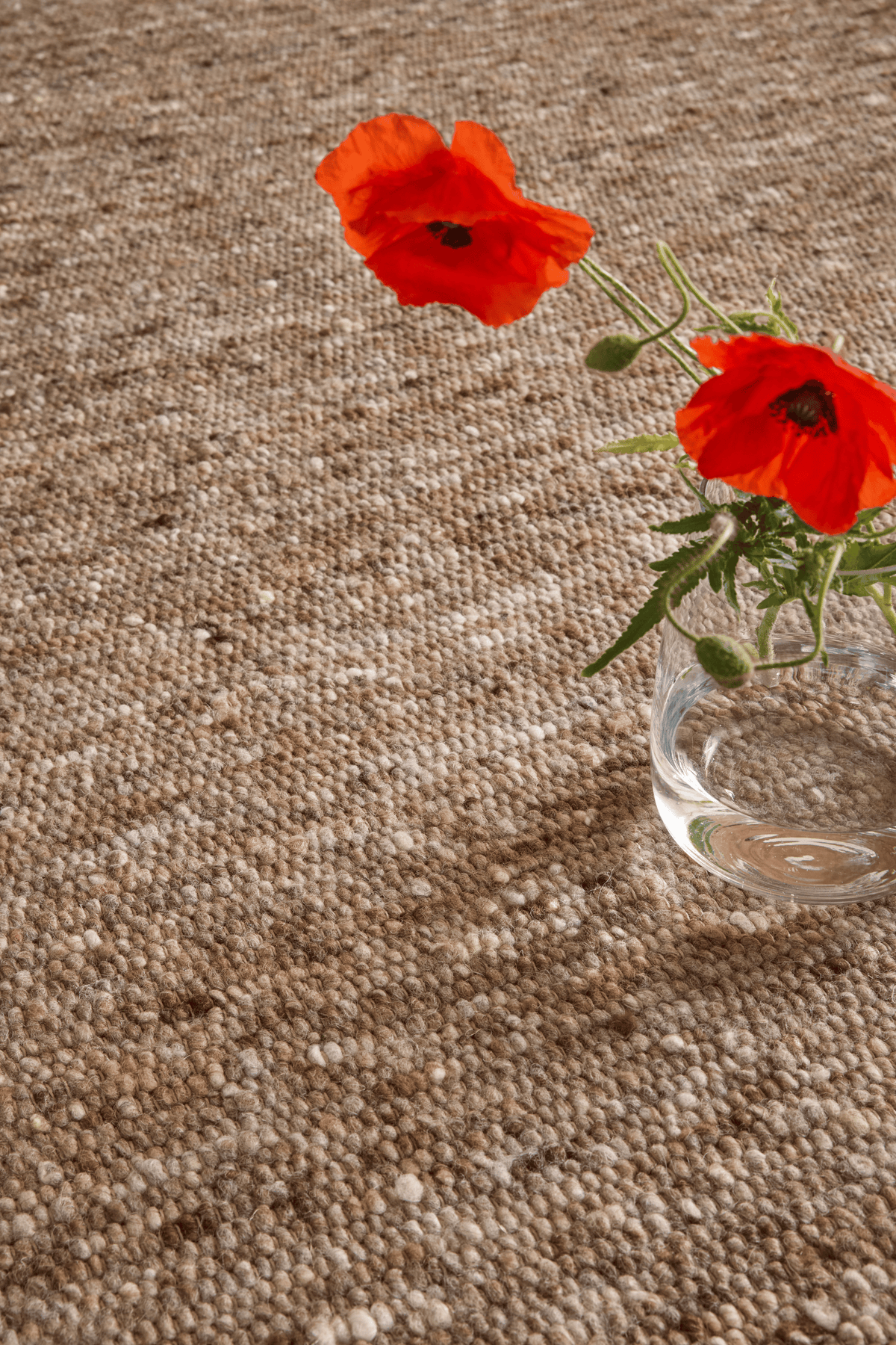 Brink & Campman Sober Soft Brown 129705