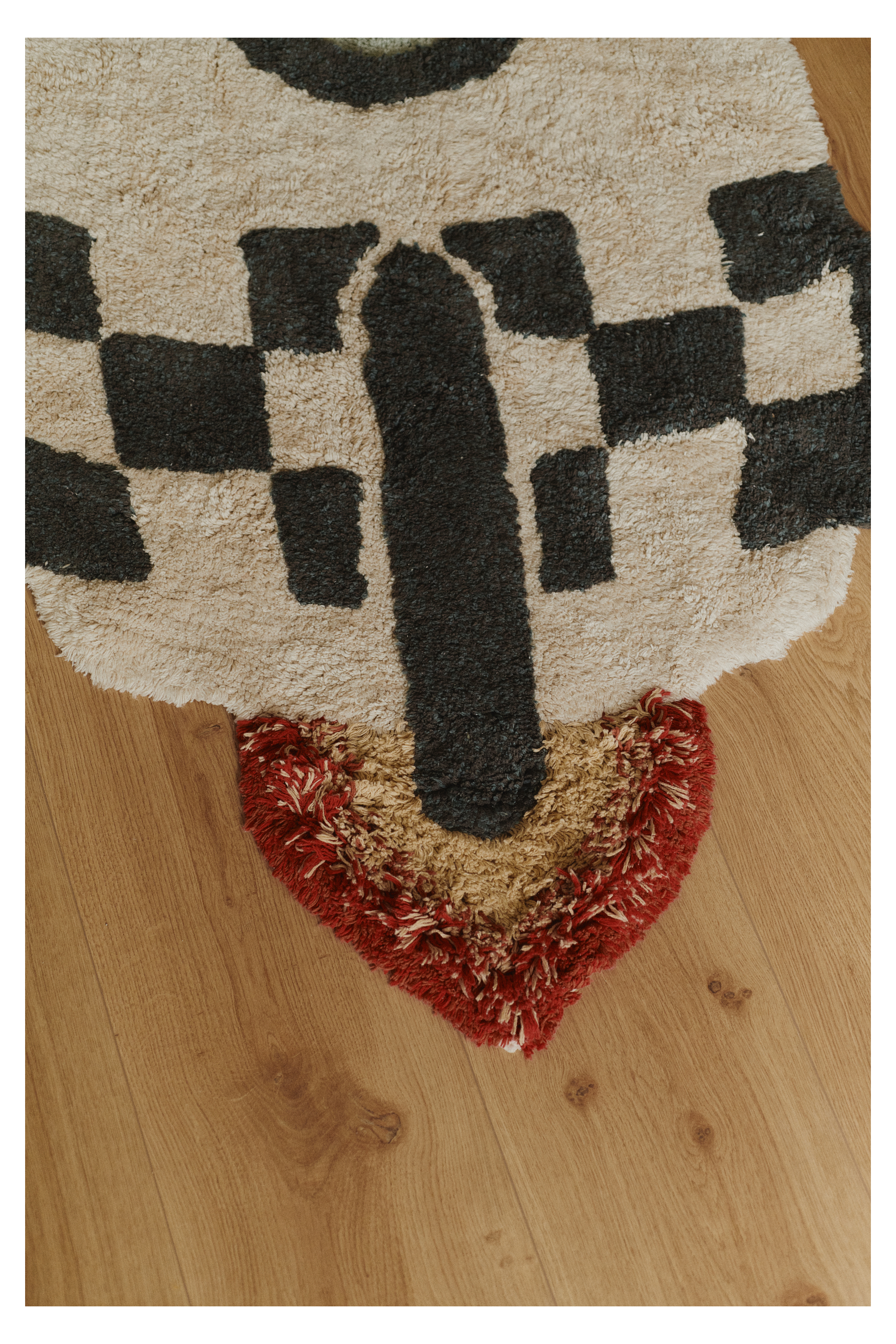 Washable Rug Rocket