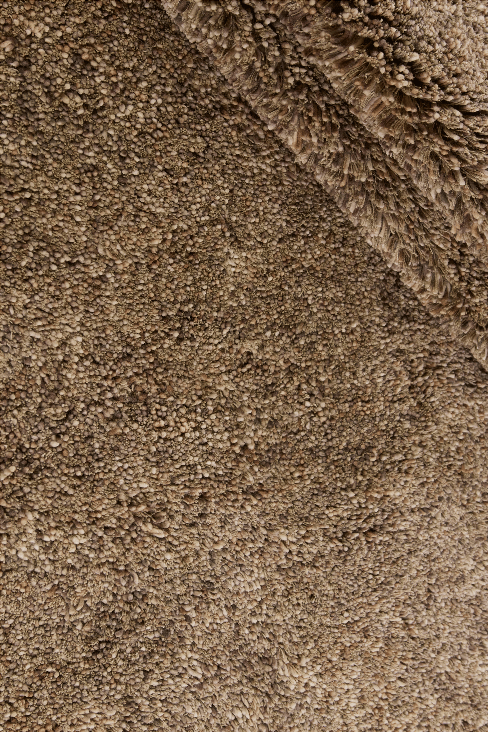 Coral Beige