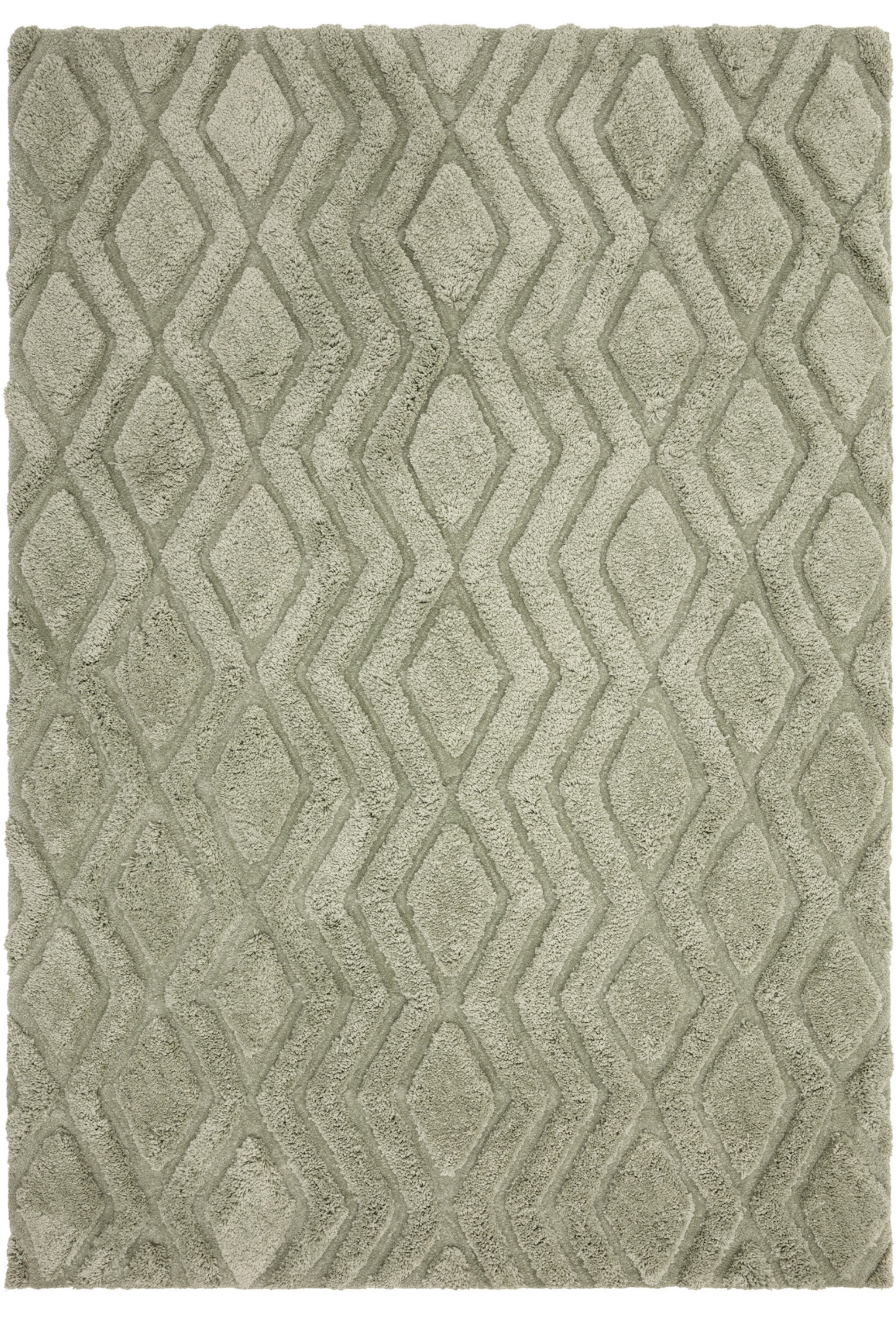 Harrison Sage Rug