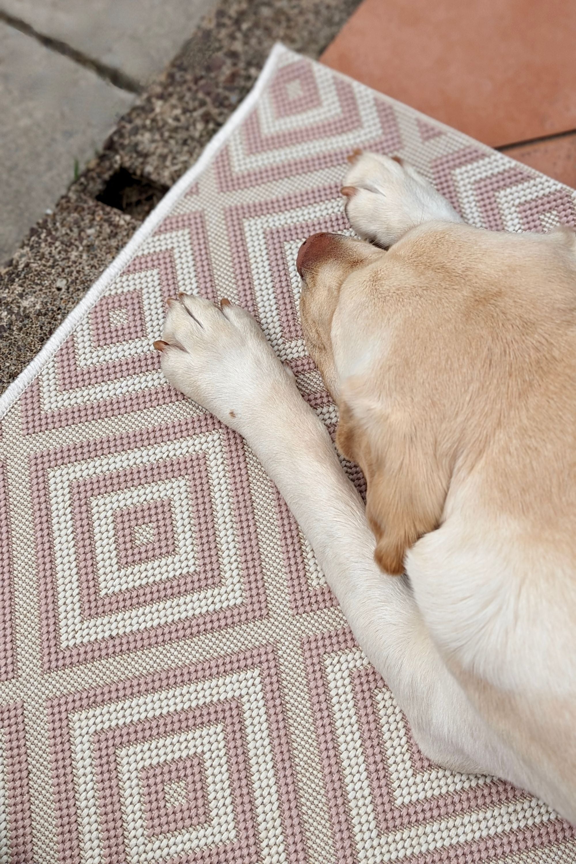 pink and white geometric rug for indoors and outdoors