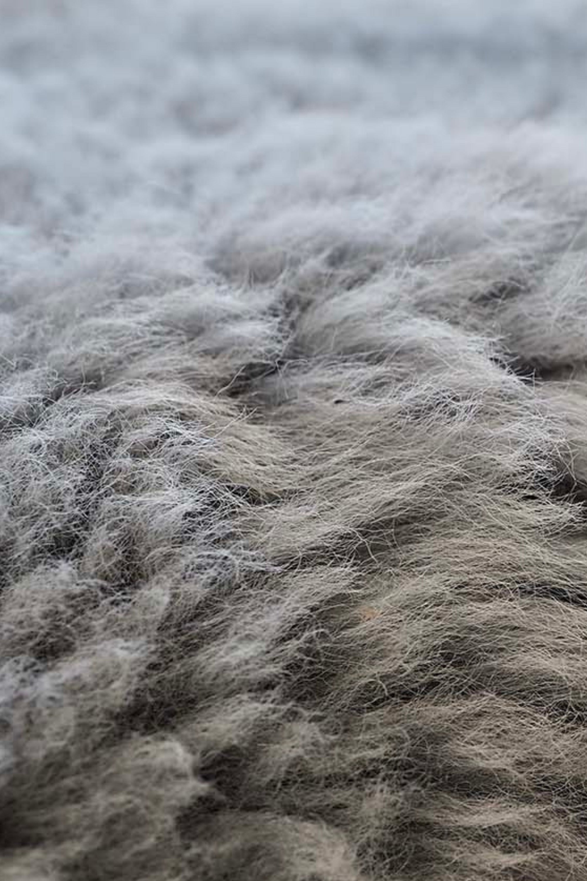 quad Irish grey sheepskin rug