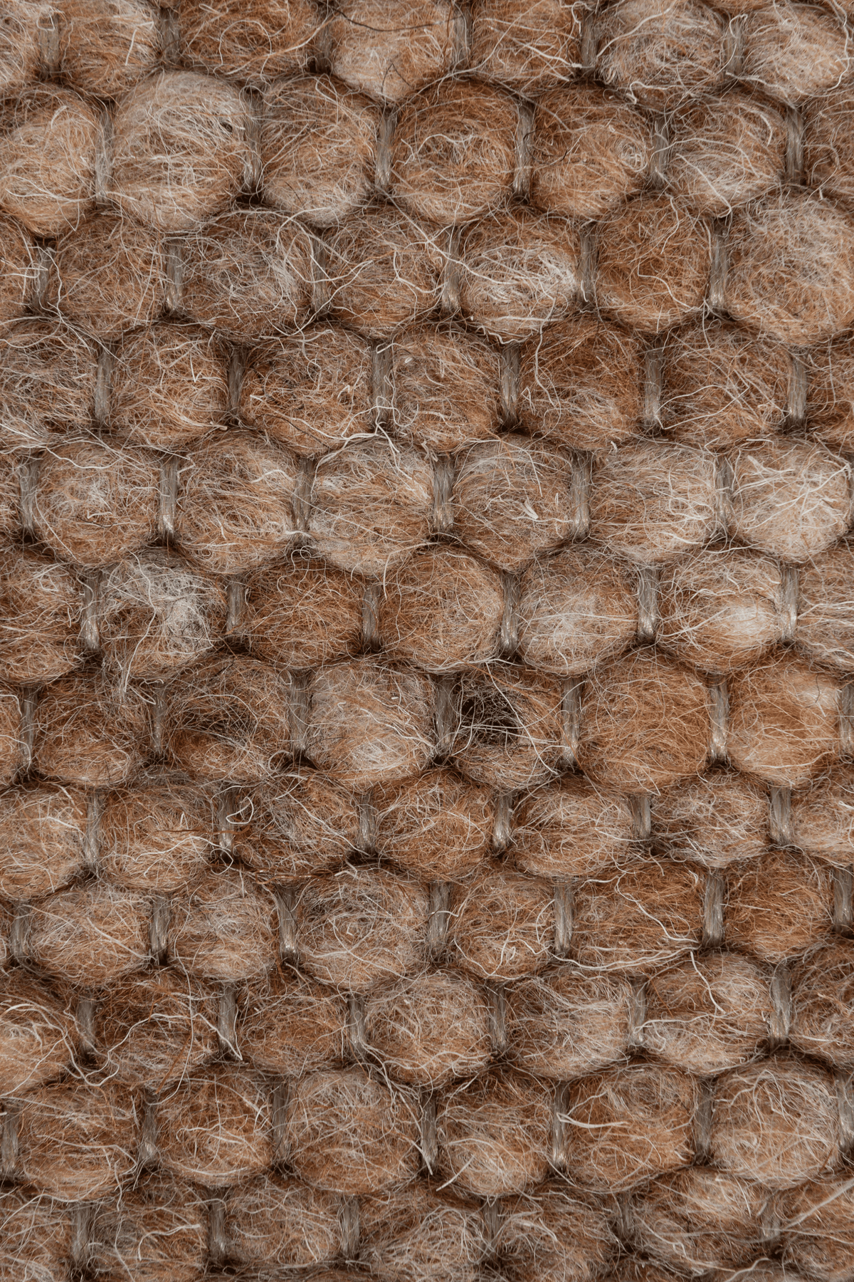 Tisca Sofia Auburn 226 Round