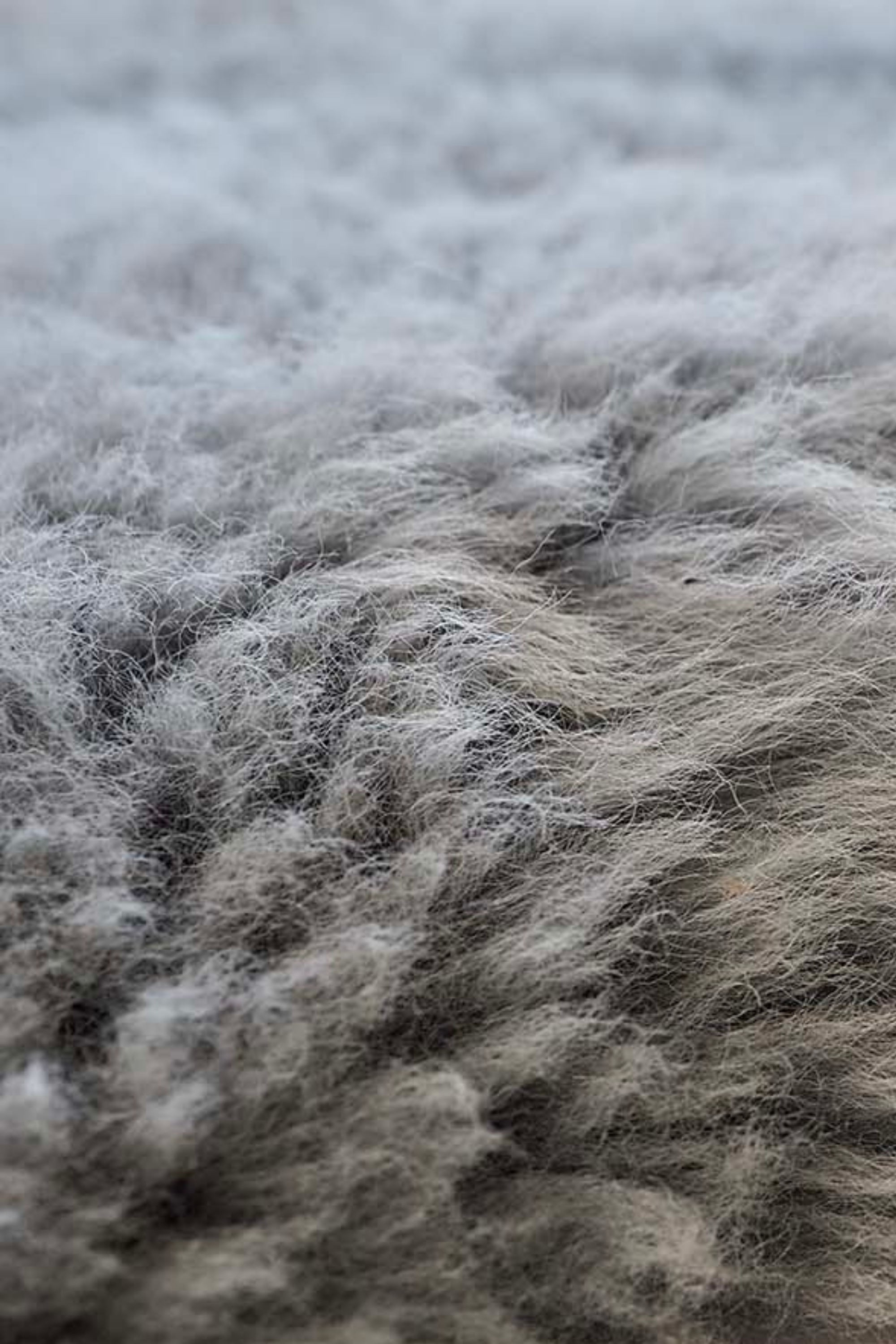 Double Irish grey sheepskin rug