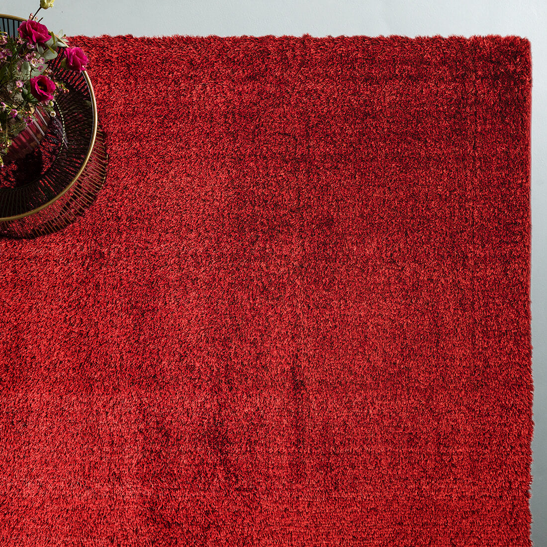 red shaggy rug