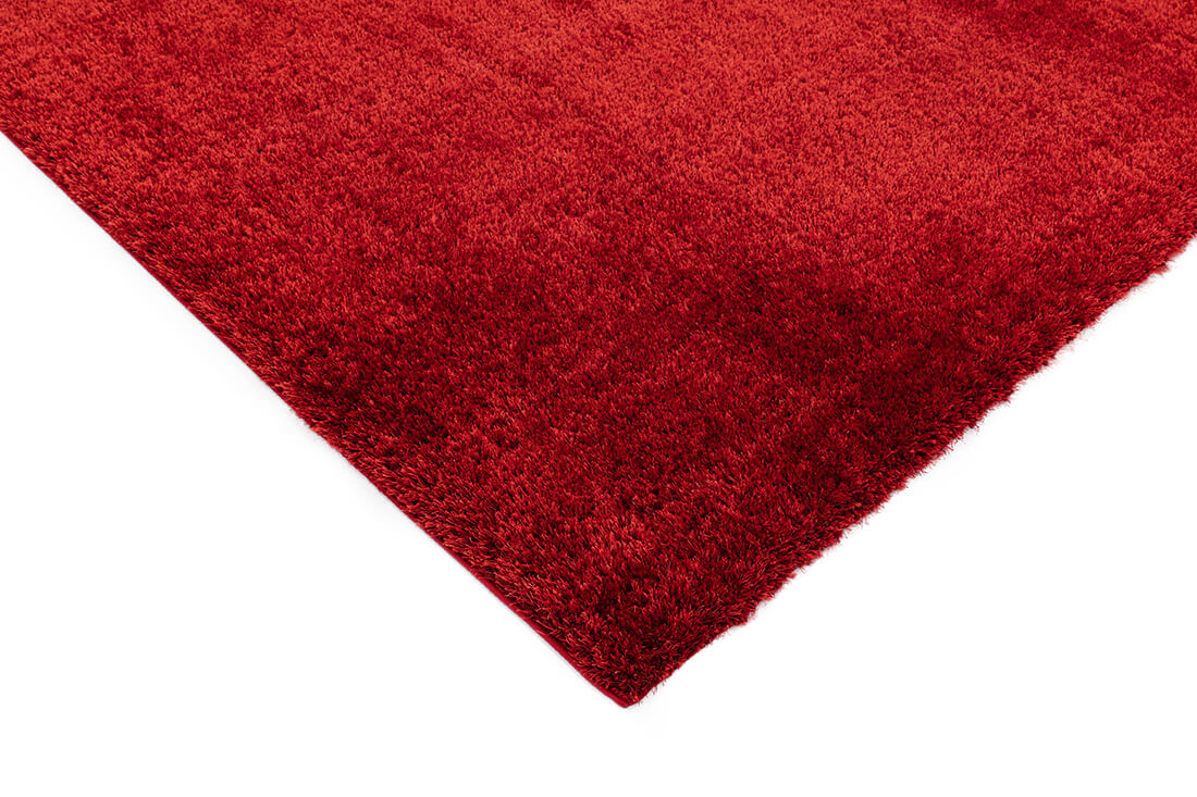 red shaggy rug
