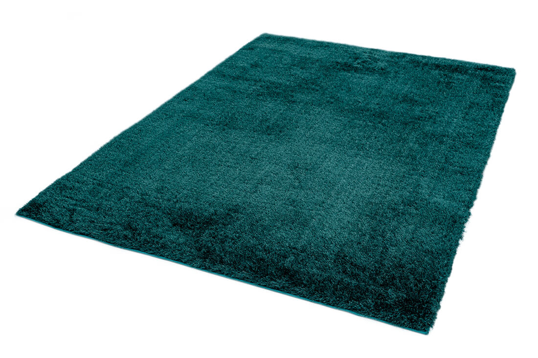 teal shaggy rug