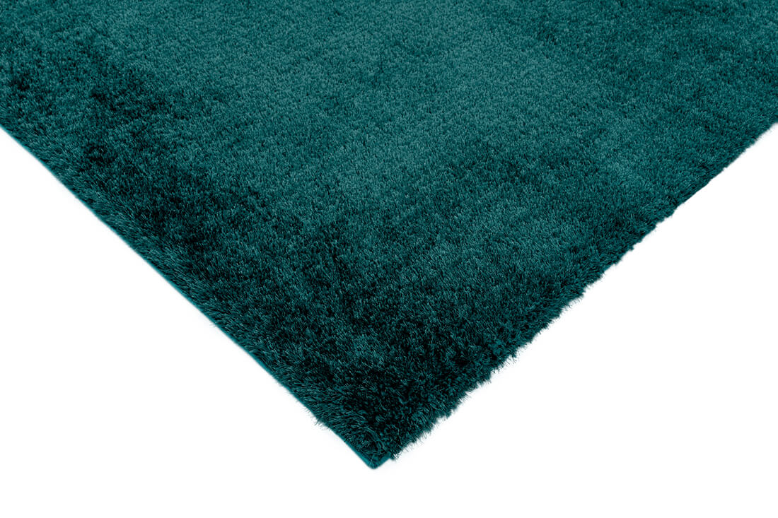 teal shaggy rug